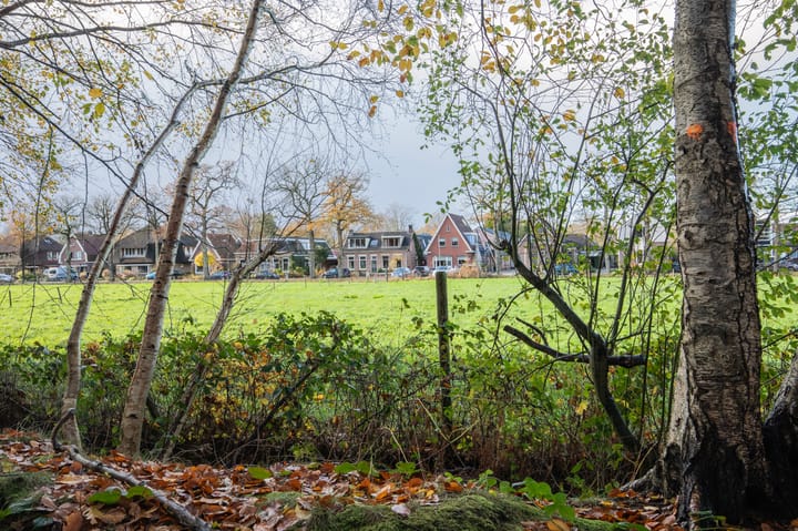 Foto 8 van Broeklaan 24