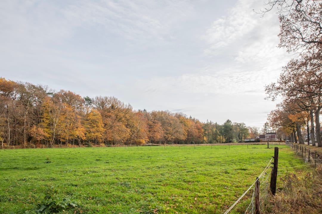 Foto 53 van Broeklaan 24