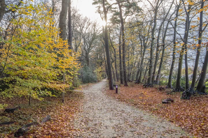 Foto 54 van Broeklaan 24