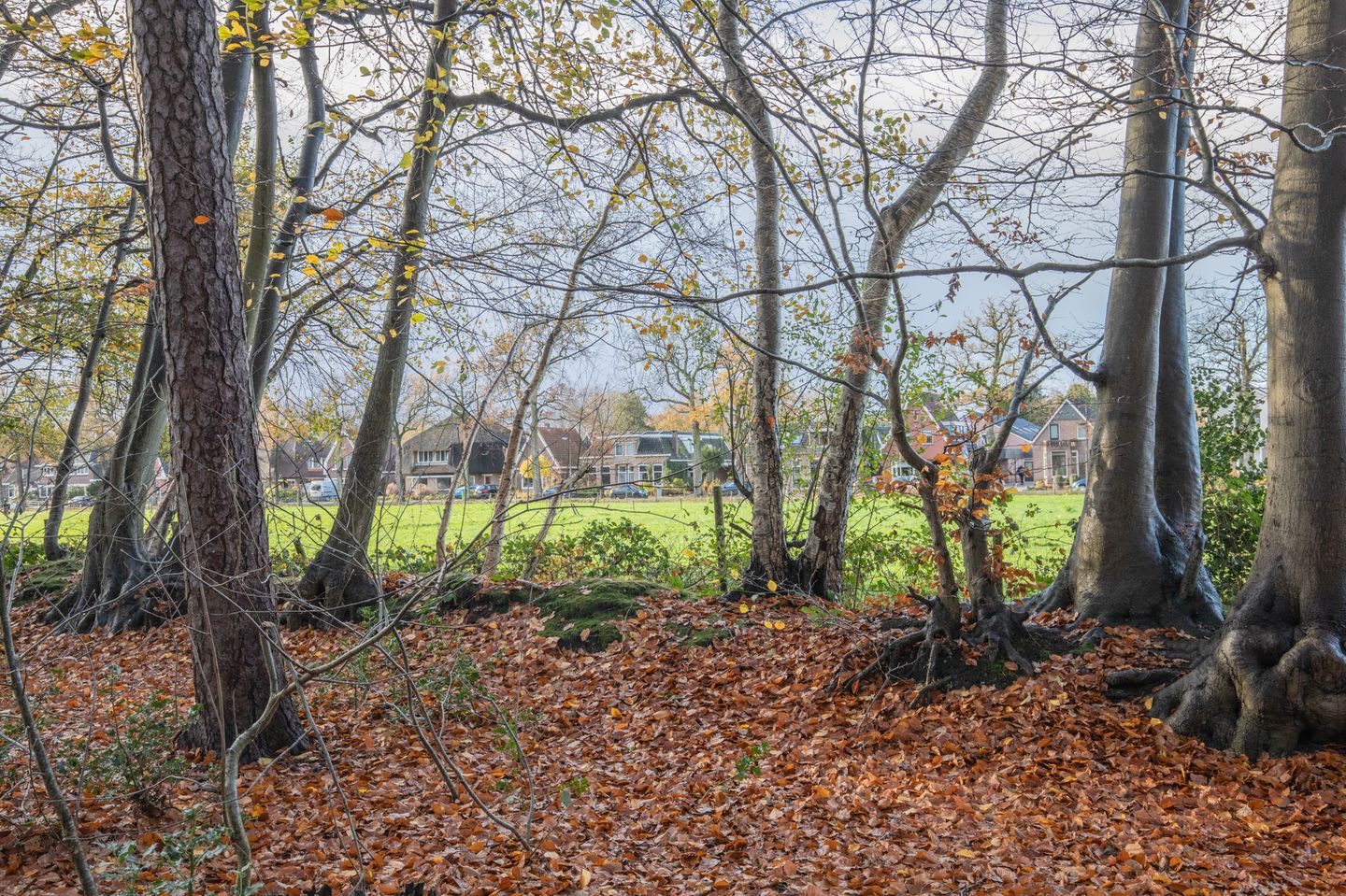 Foto 55 van Broeklaan 24