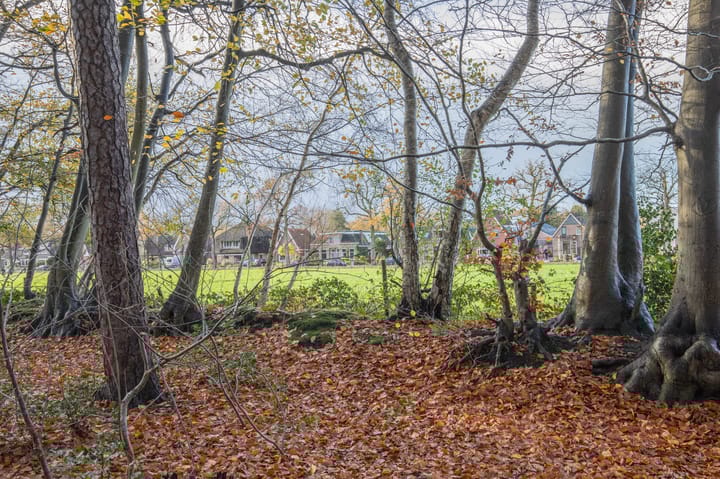 Foto 55 van Broeklaan 24