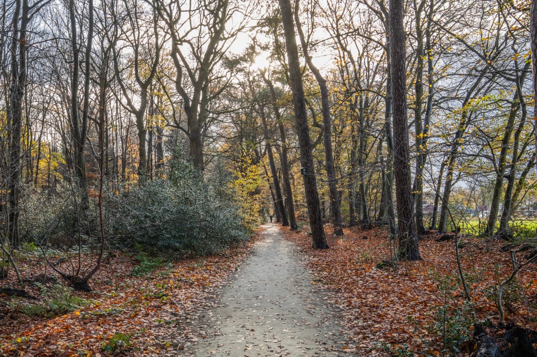 Foto 56 van Broeklaan 24