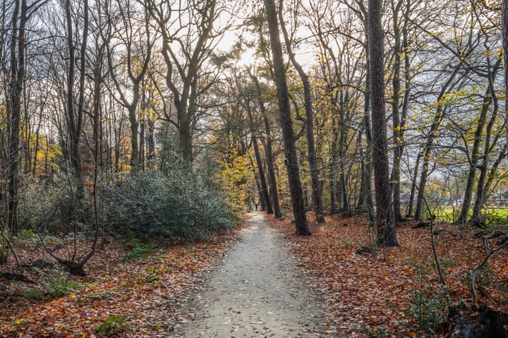 Foto 56 van Broeklaan 24