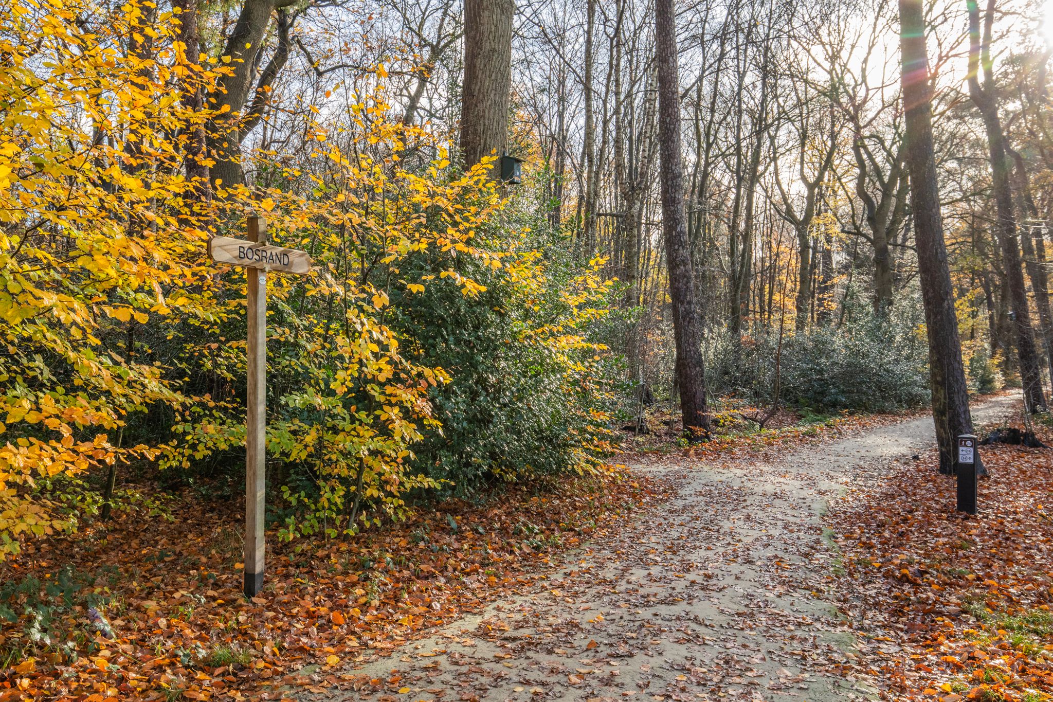 Foto 57 van Broeklaan 24