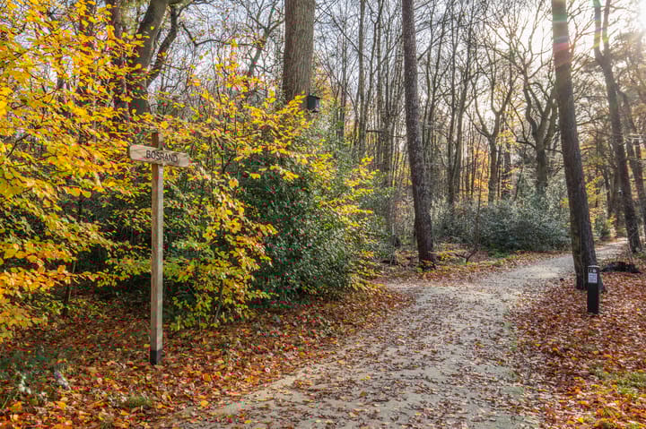 Foto 57 van Broeklaan 24