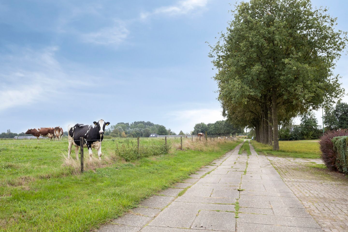 View photo 4 of Branderhorstweg 5