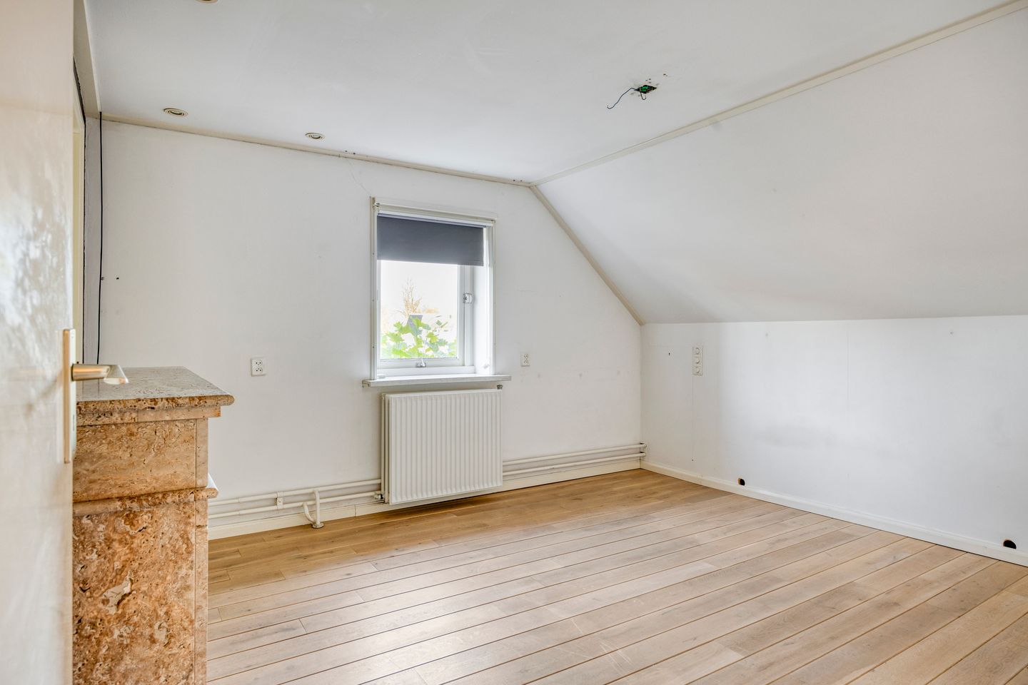 Foto 20 van Boesvelderdijk 3