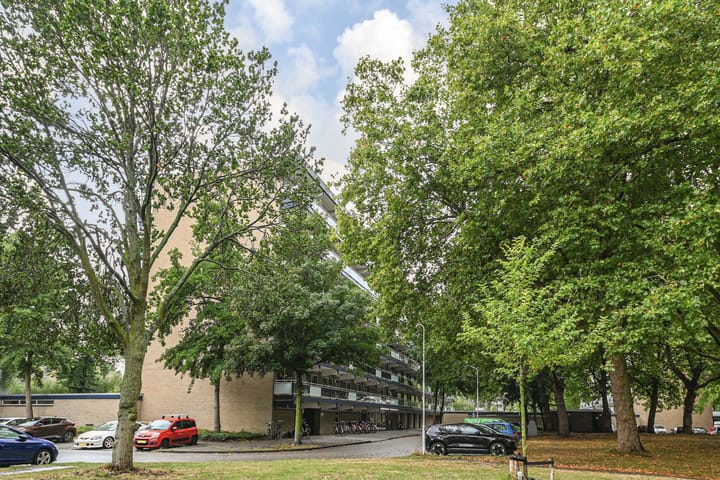 Foto 2 van Dunantstraat 242