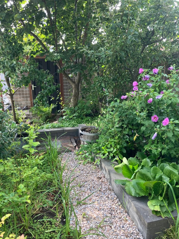 Photo 21 of Clarissenhof 12