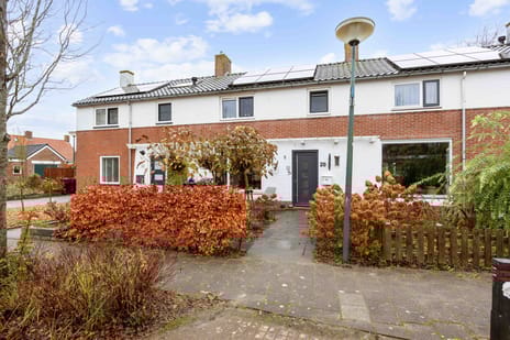 undefined main image