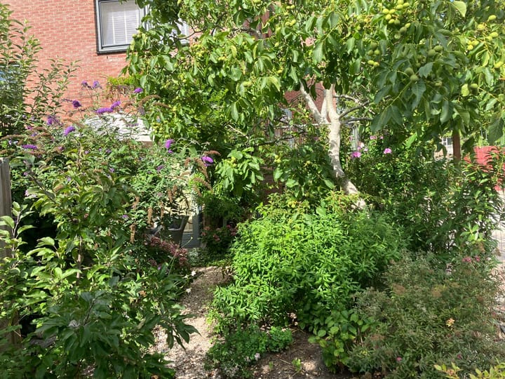 Photo 22 of Clarissenhof 12