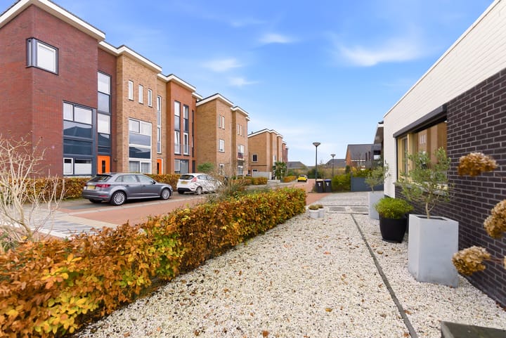 Photo 63 of Kiekberg 5