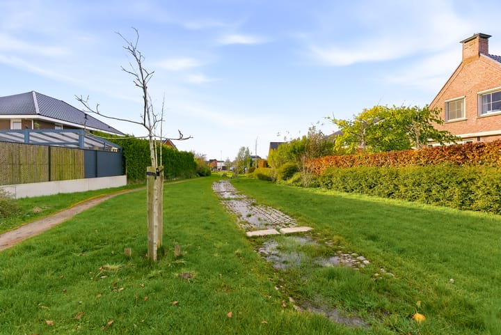 Photo 67 of Kiekberg 5