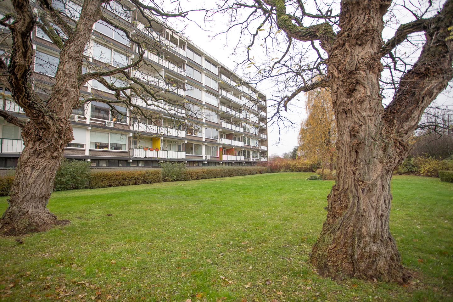 Photo 1 of Frerikshuislaan 141