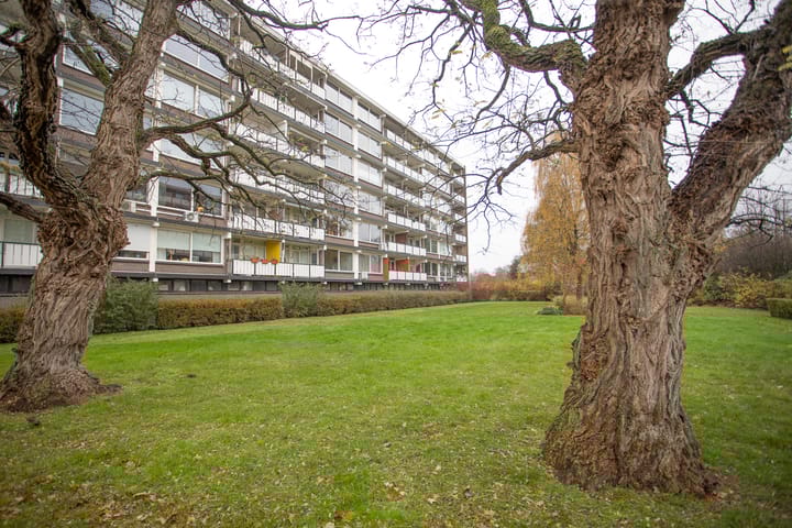 Photo 1 of Frerikshuislaan 141