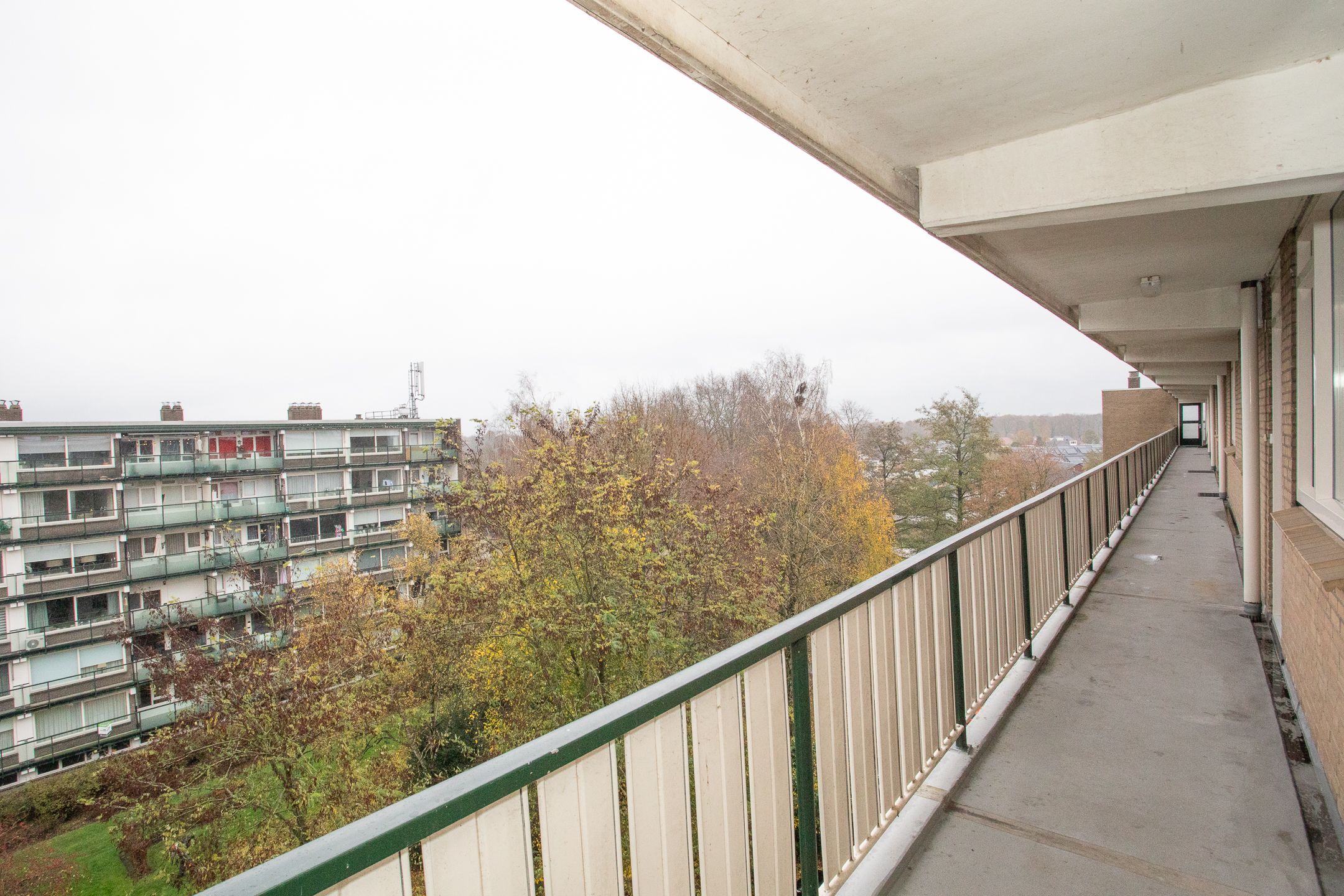 Foto 9 van Frerikshuislaan 141