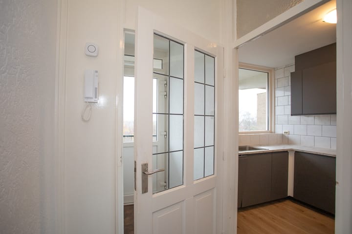 Photo 11 of Frerikshuislaan 141