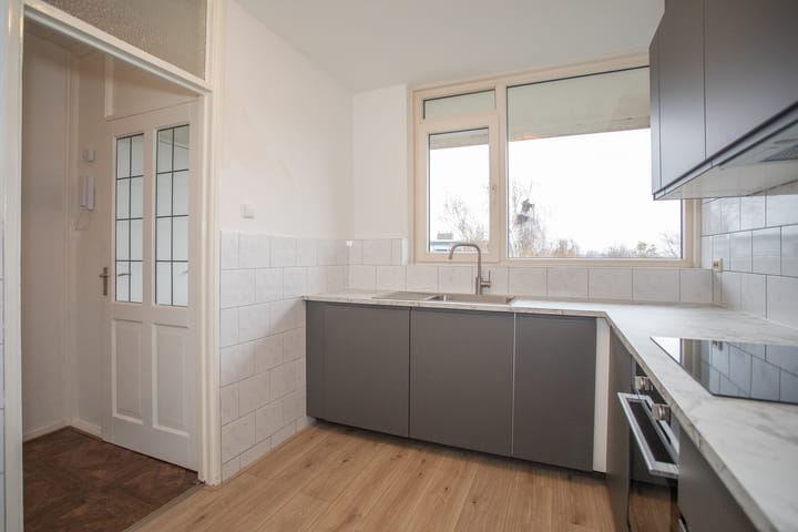 Photo 14 of Frerikshuislaan 141