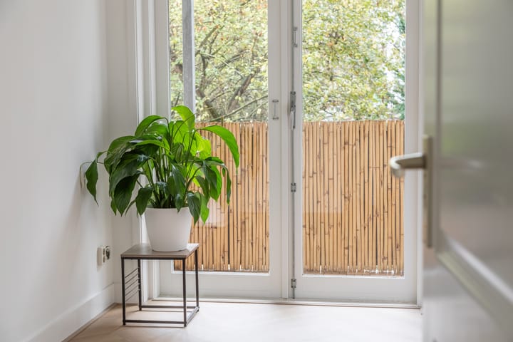 Photo 20 of Pieter Langendijkstraat 33-1