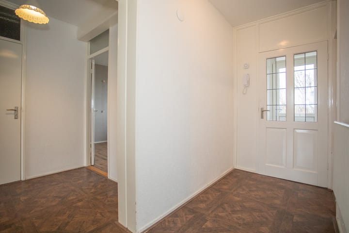 Photo 17 of Frerikshuislaan 141