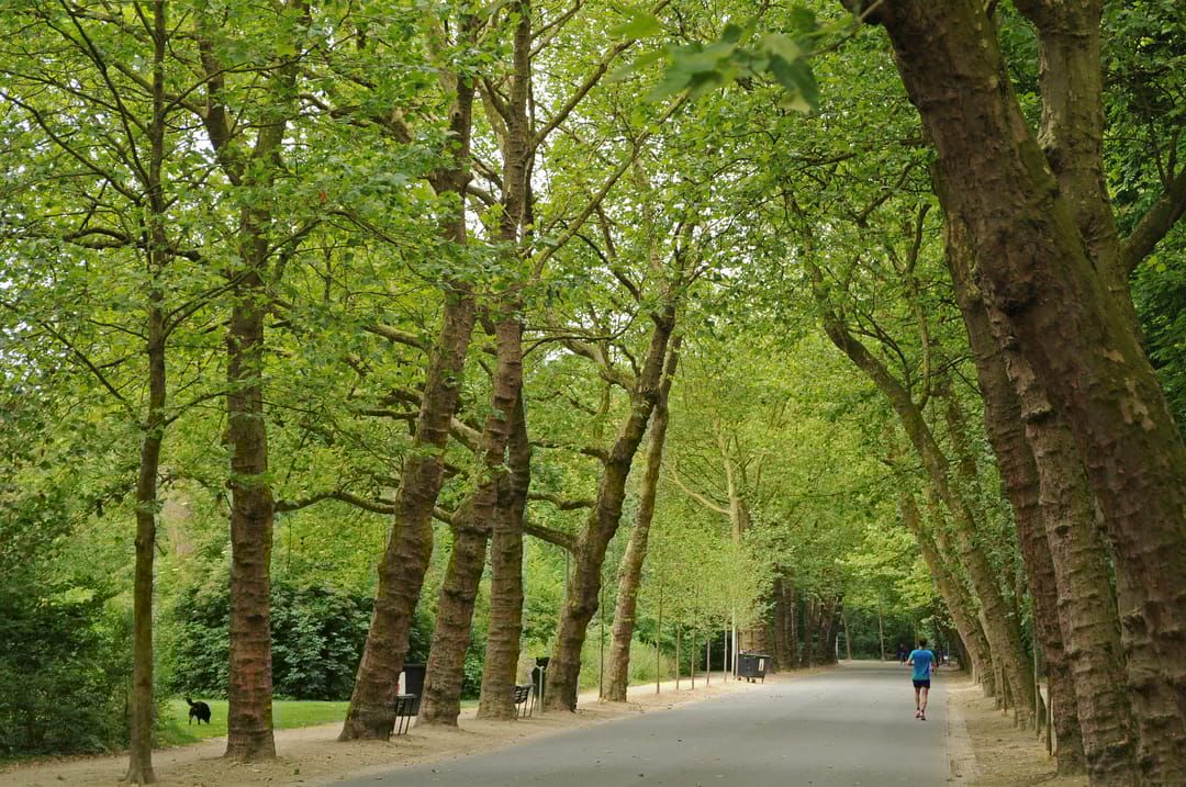 Photo 32 of Pieter Langendijkstraat 33-1
