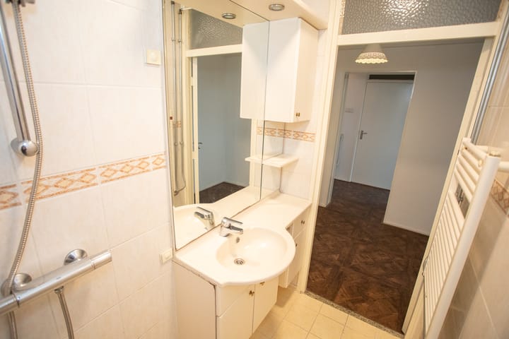 Photo 35 of Frerikshuislaan 141