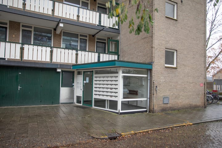 Photo 39 of Frerikshuislaan 141