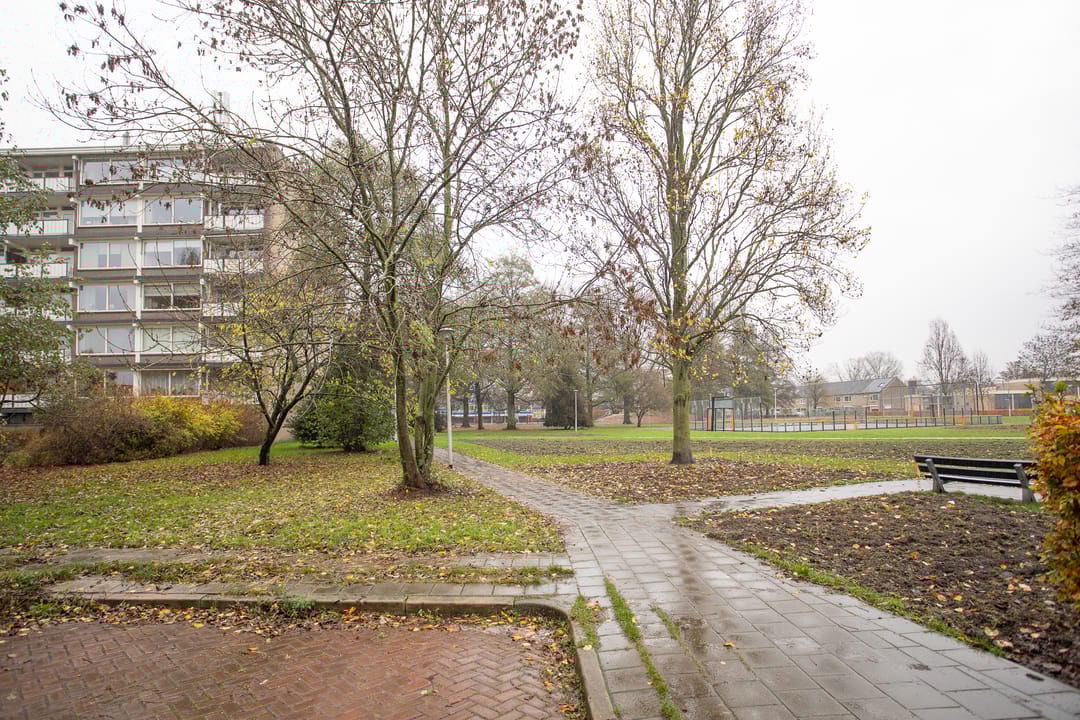 Foto 41 van Frerikshuislaan 141