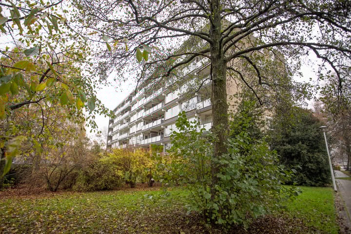 Photo 43 of Frerikshuislaan 141