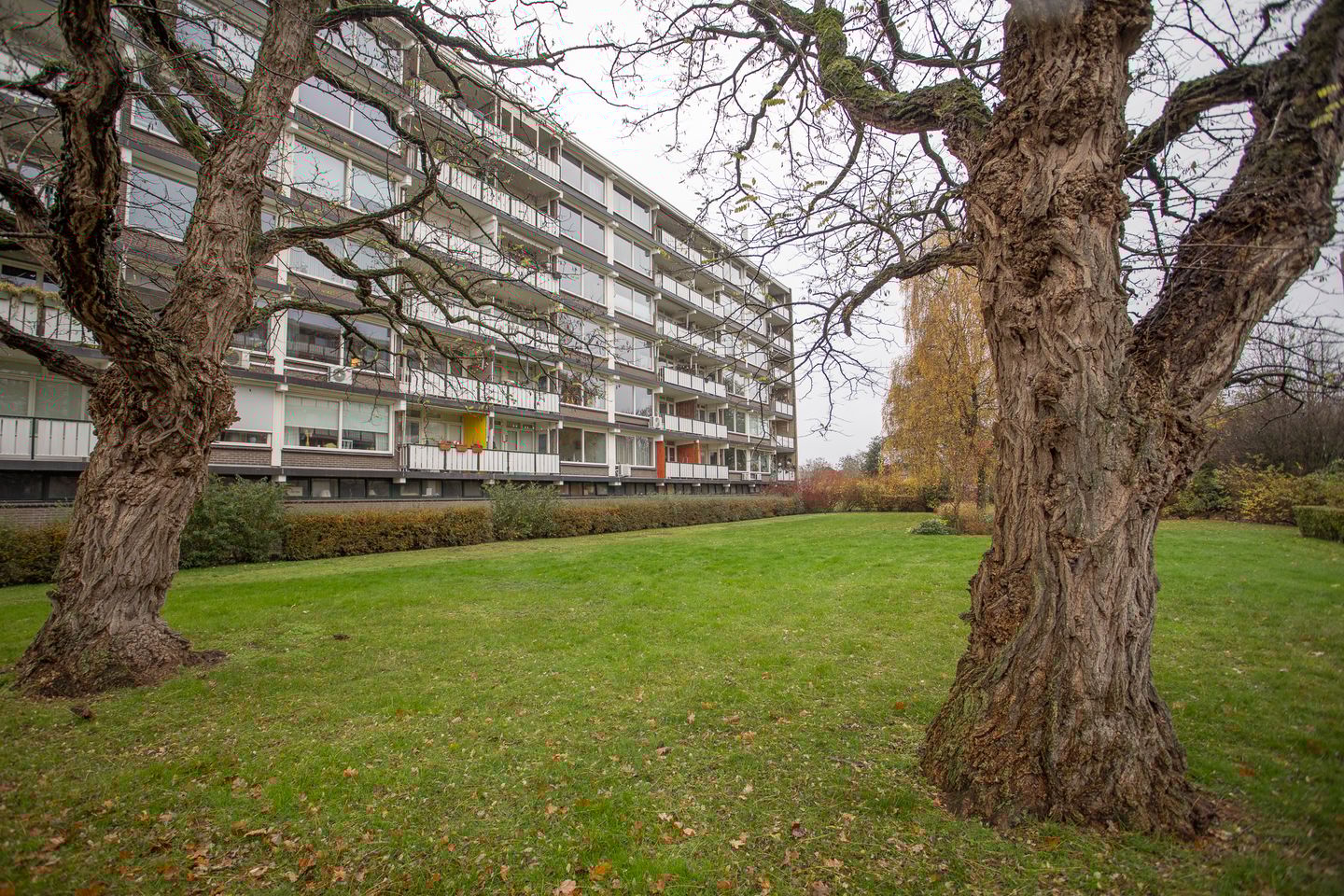 Foto 44 van Frerikshuislaan 141