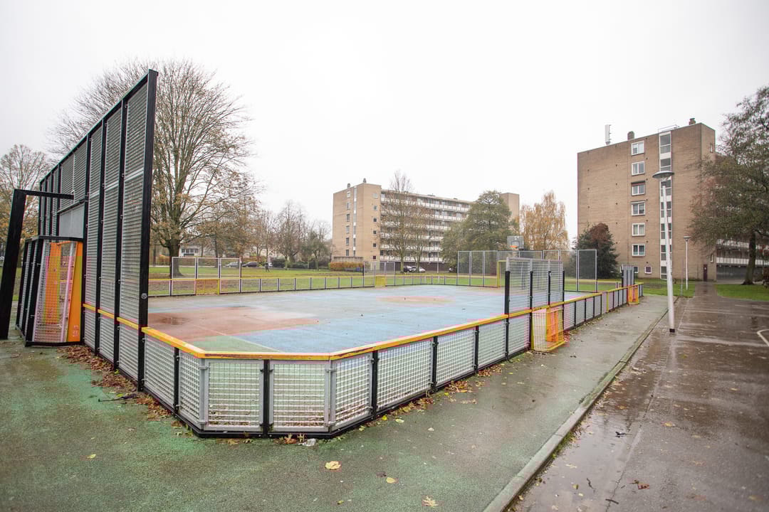 Foto 46 van Frerikshuislaan 141