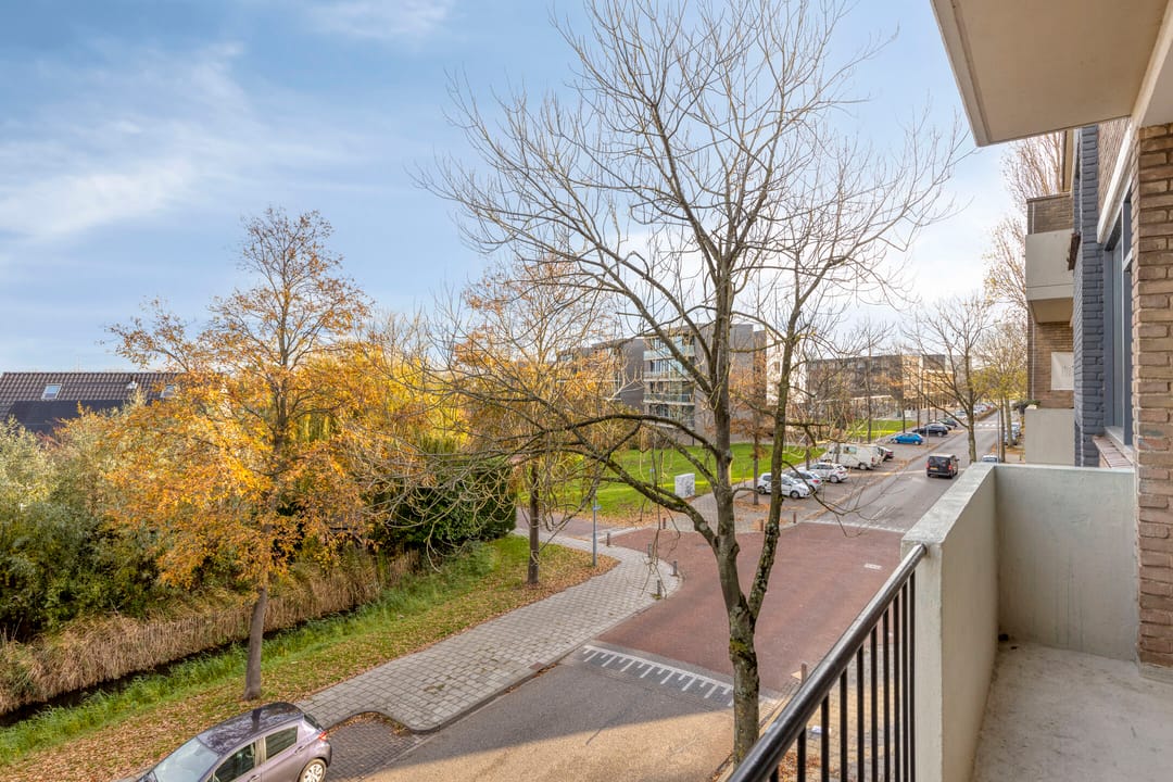 Foto 8 van Nassaulaan 143