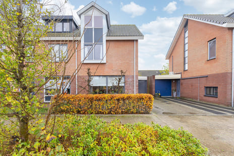 Goudreinet 18 secondary image