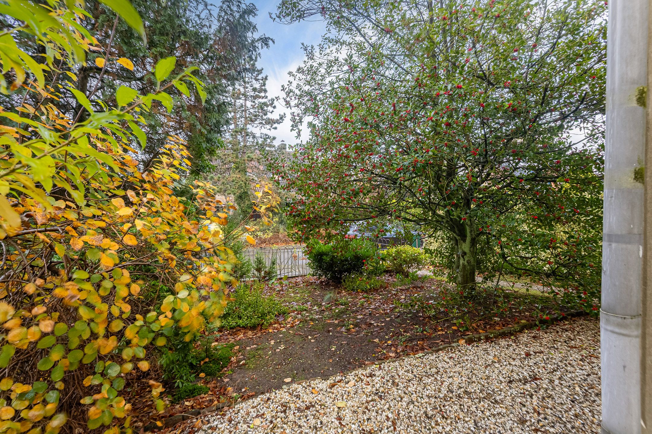 Foto 27 van Faas Eliaslaan 47