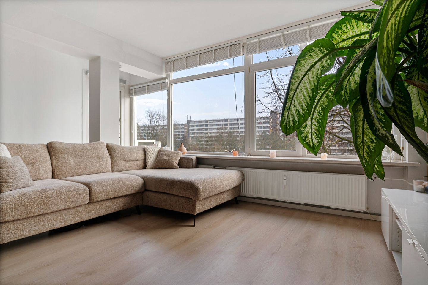 Photo 10 of Van Ostadelaan 398