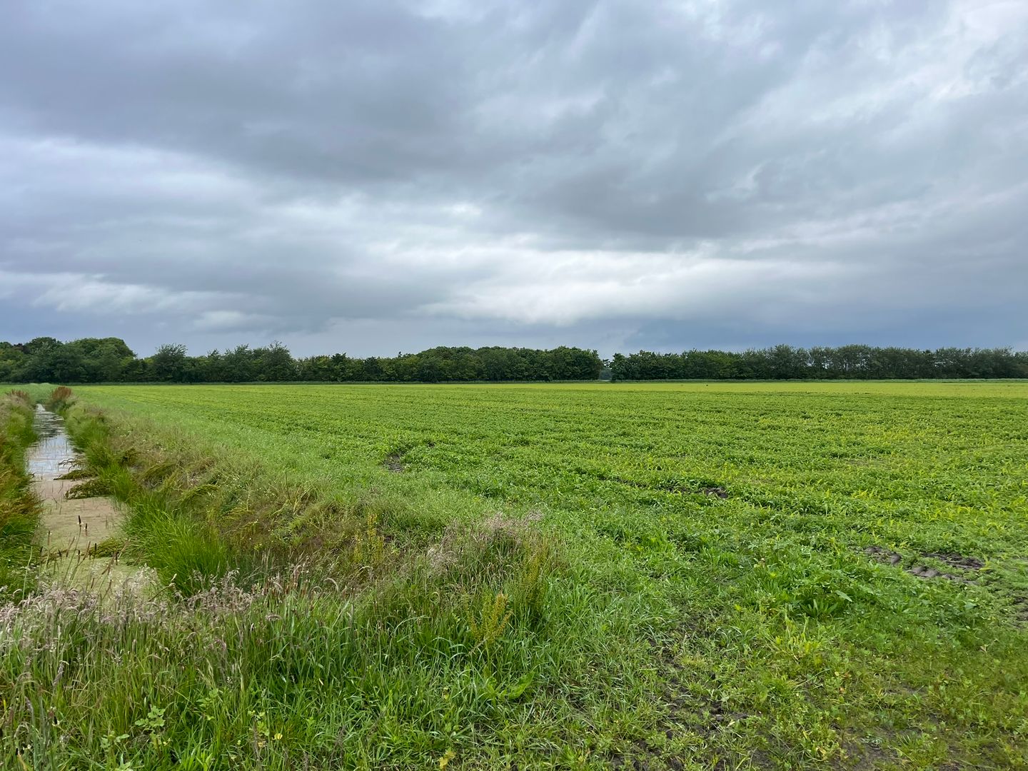 Bekijk foto 4 van Percelen bij Pontweg 176 en 197