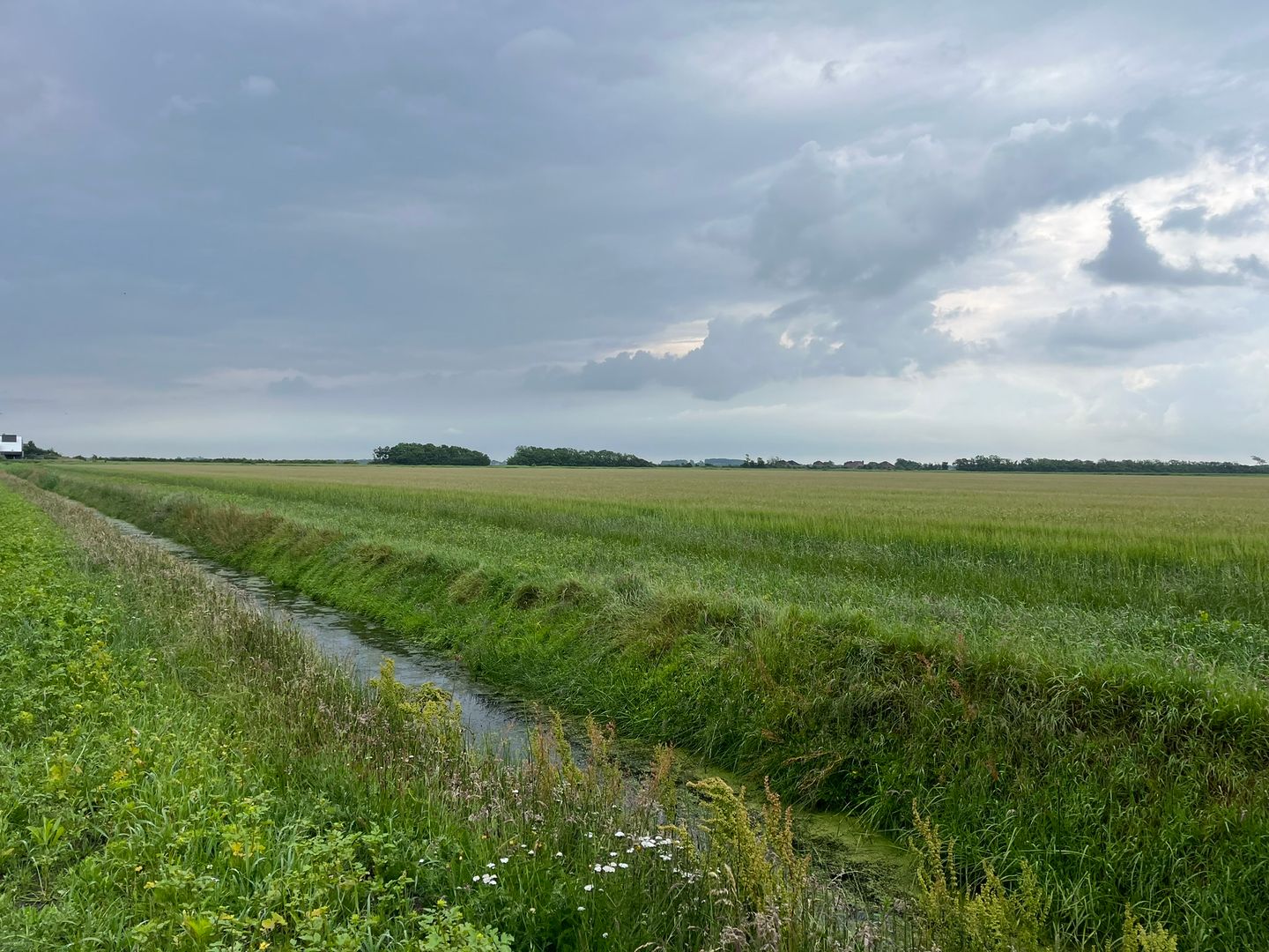 Bekijk foto 5 van Percelen bij Pontweg 176 en 197