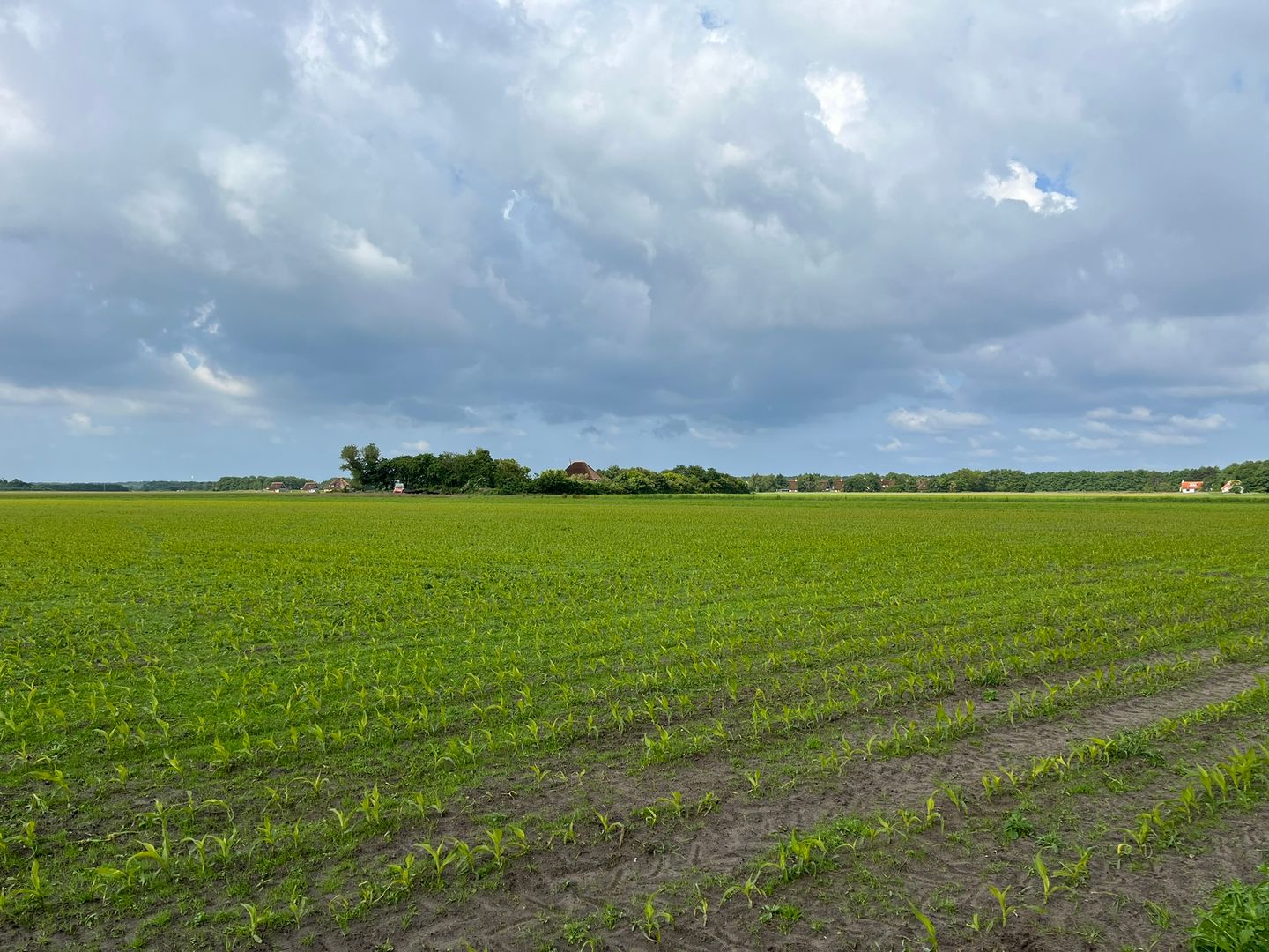 Bekijk foto 3 van Percelen bij Pontweg 176 en 197