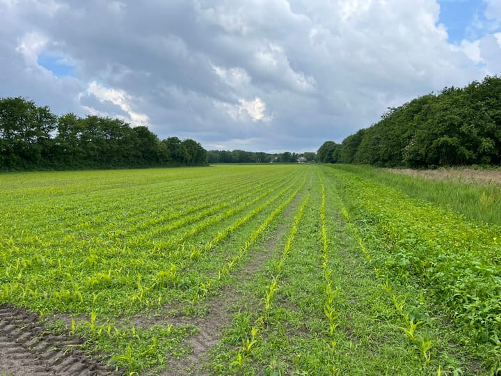 Percelen bij Pontweg 176 en 197, De Koog