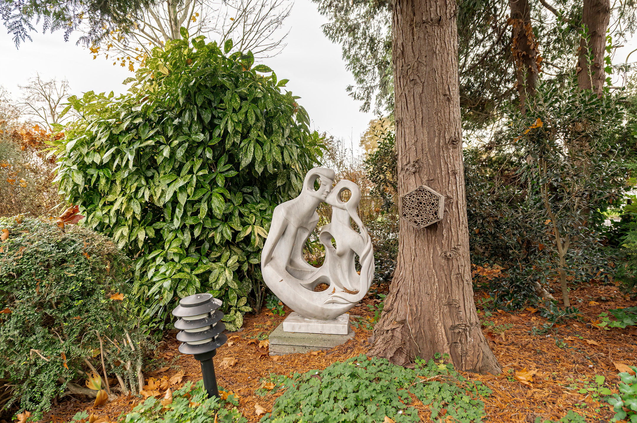 Foto 39 van Weidsteeg 28