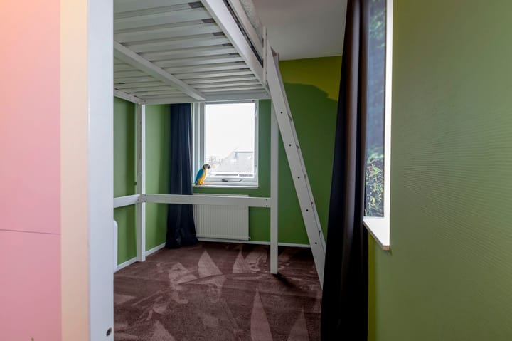 Foto 20 van Tijmstraat 37