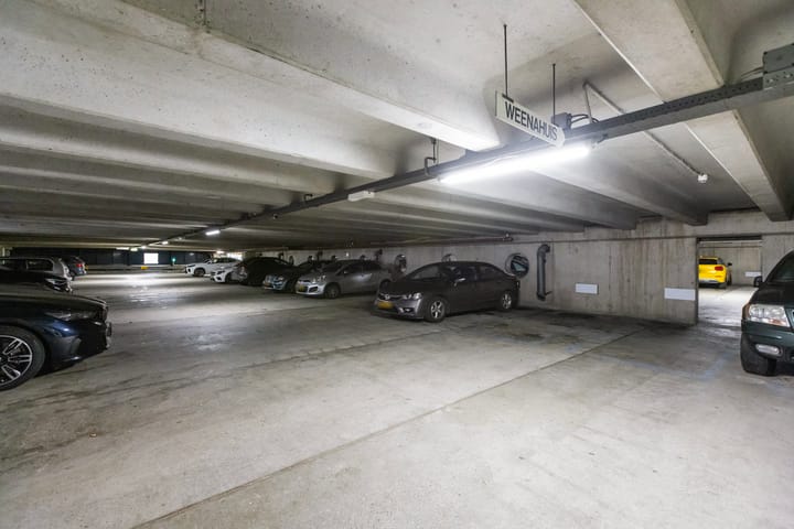 Photo 43 of Weena 253