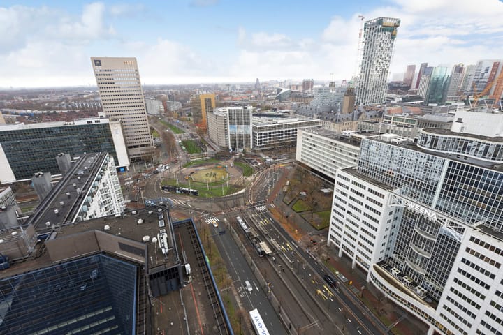 Photo 49 of Weena 253