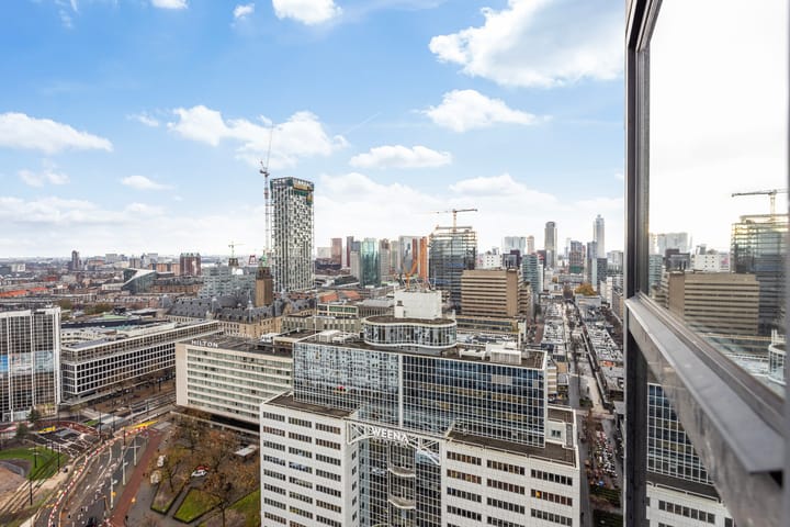 Photo 51 of Weena 253