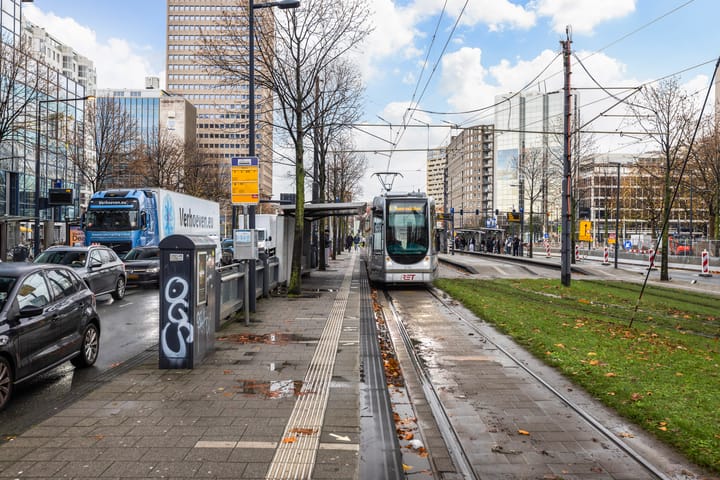 Photo 54 of Weena 253