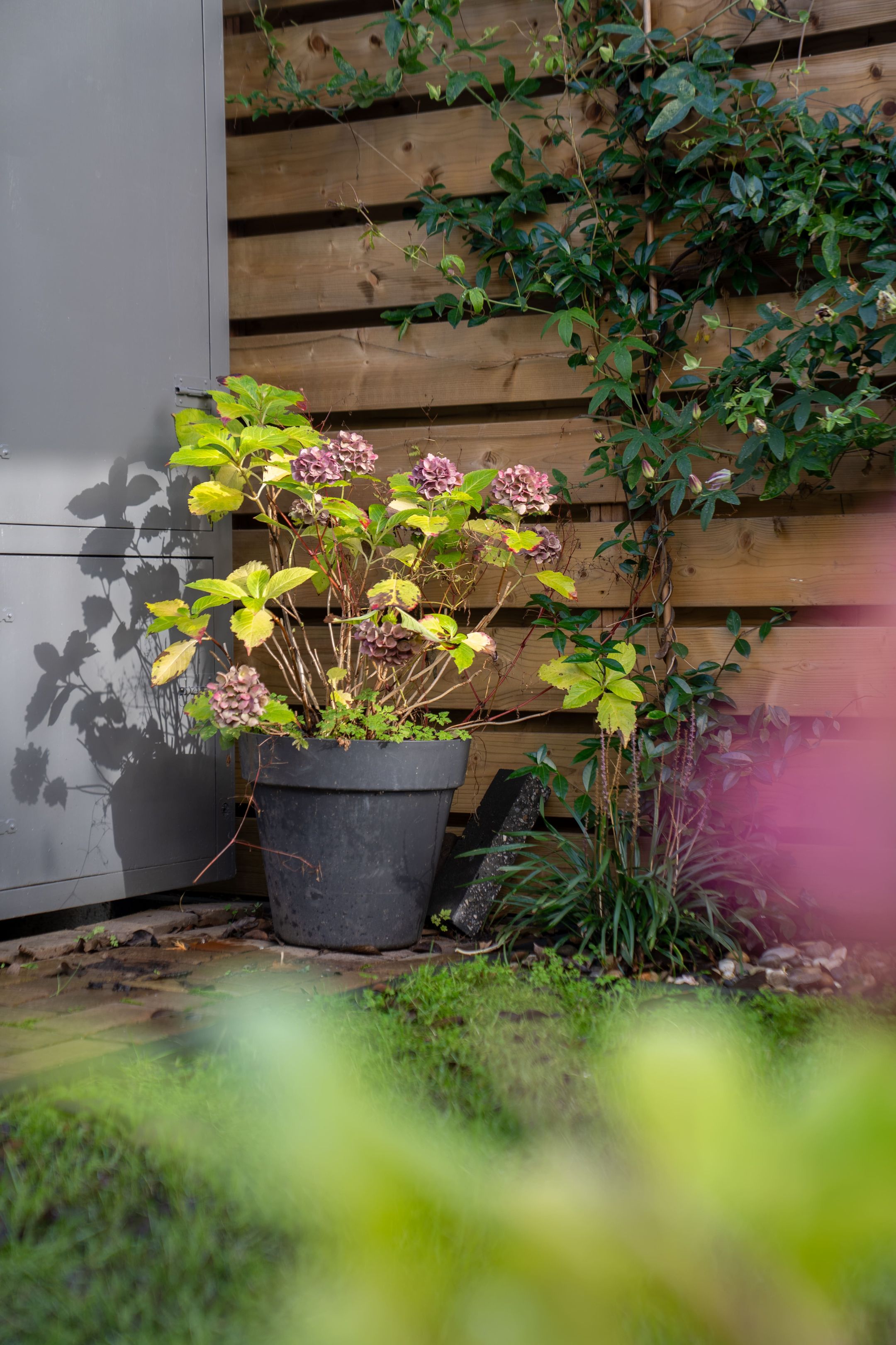 Photo 36 of Bennebroekstraat 33-H