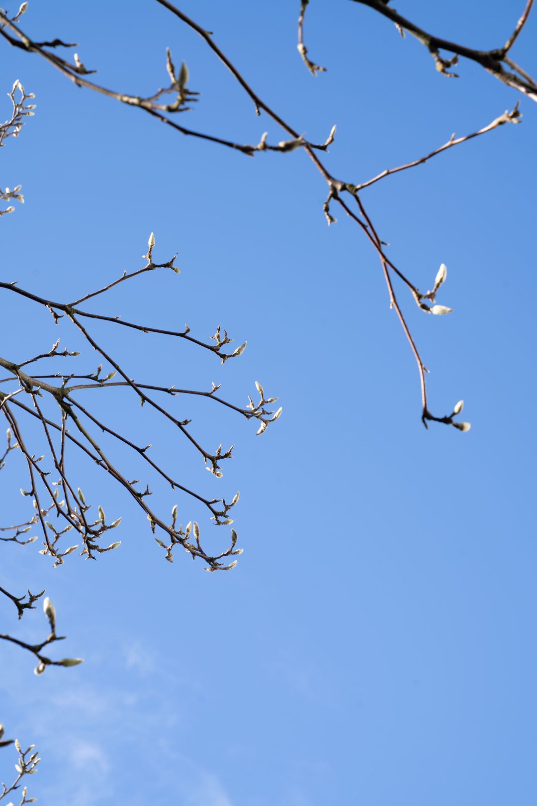 Photo 38 of Bennebroekstraat 33-H