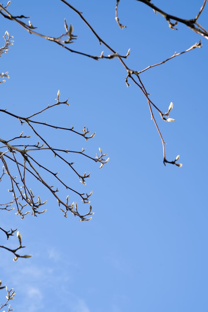 Photo 38 of Bennebroekstraat 33-H