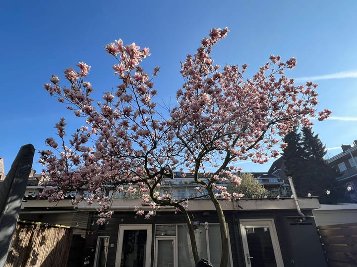 Photo 43 of Bennebroekstraat 33-H