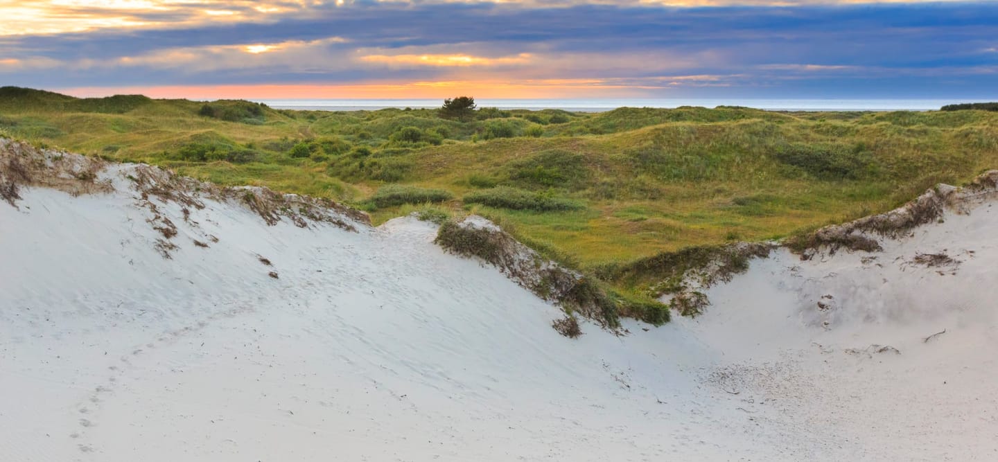 Bekijk foto 3 van Reeweg 1